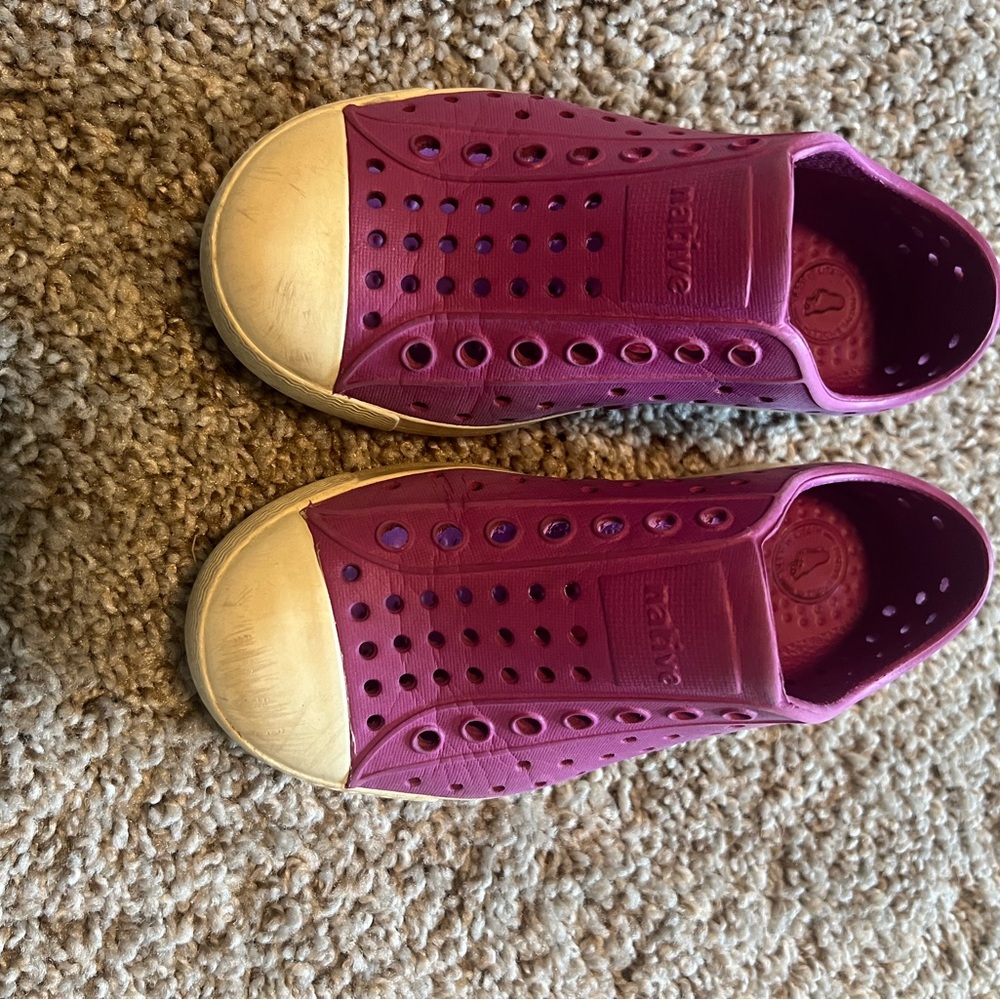 Native Water Shoes Purple and Gold Slip-On